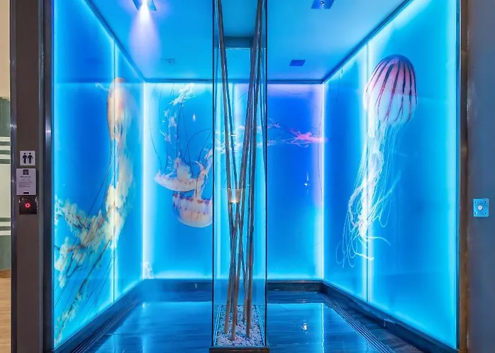 Del Mar By Melia Hotel 4*