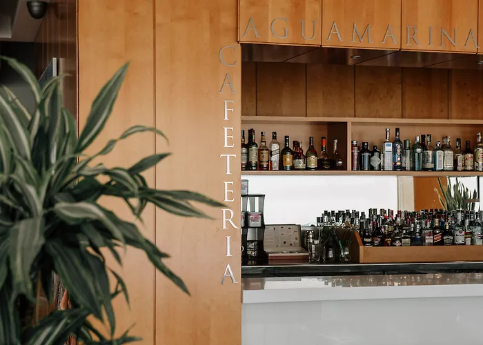 Hotel Del Mar By Melia 4*